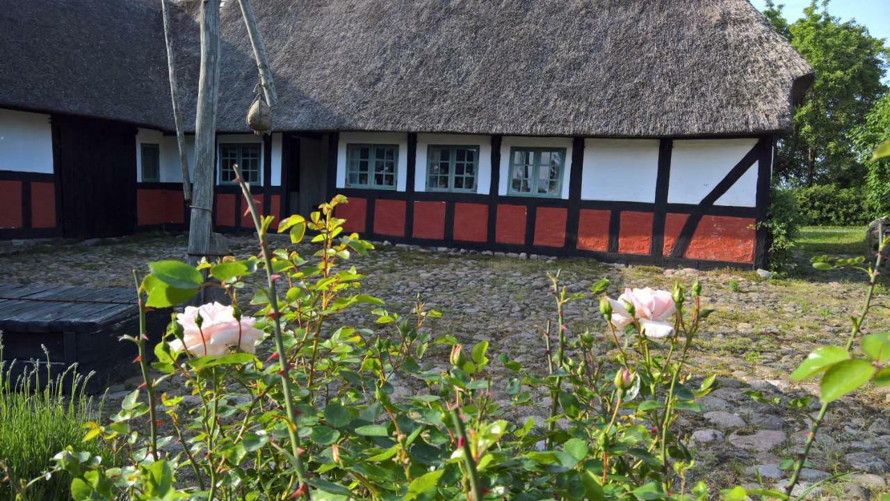 Thurup Hus Assens Bagian luar foto