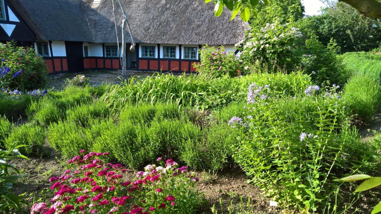 Thurup Hus Assens Bagian luar foto